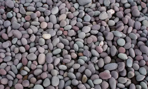 கூழாங்கற்கள் ஏற்றி வந்த லாரிகள் பறிமுதல்