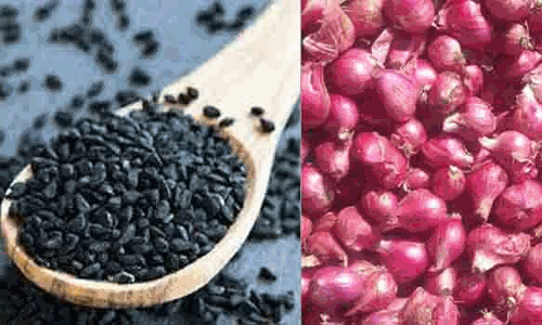 விவசாயிகளுக்கு மானிய விலையில் விதை