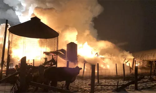 சேலம் அருகே தீப்பிடித்து எரிந்த மாட்டு கொட்டகை