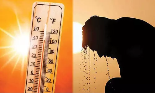 2 நாட்களுக்கு தமிழகத்தில் 4 டிகிரி செல்சியஸ் வெப்பம் அதிகரிக்கும்- அசவுகரியம் ஏற்பட வாய்ப்பு