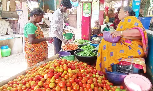 மதுரையில் கிலோ தக்காளி 150 ரூபாய்க்கு விற்பனை