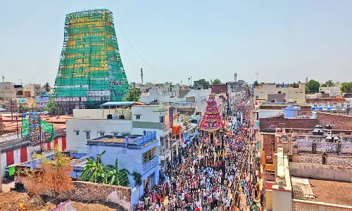 சங்கரன்கோவில் சங்கரநாராயண சுவாமி கோவில் தேரோட்டம்: திரளான பக்தர்கள் பங்கேற்பு