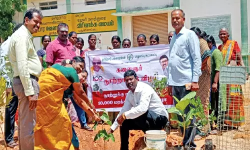 தூத்துக்குடி யூனியன் அலுவலகத்தில் 10 ஆயிரம் மரக்கன்றுகள் நடும் பணி தொடக்கம்