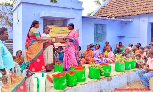 பாப்பாக்குடி வட்டாரத்தில் மாடித்தோட்டத்தில் காய்கறி வளர்த்தல் பயிற்சி