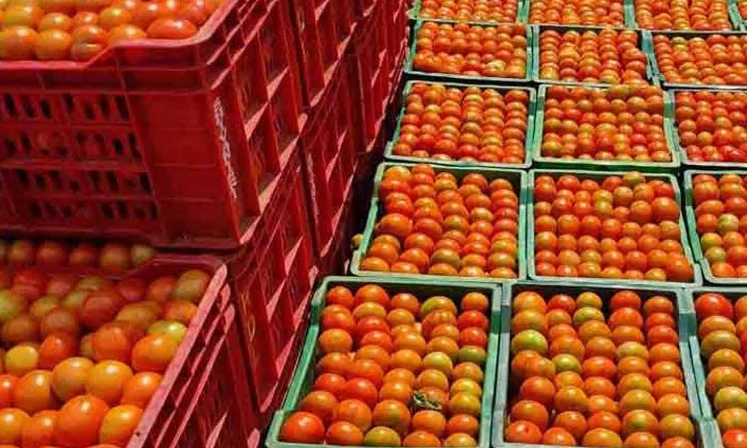 தக்காளி விலை ரூ.200-யை நெருங்கியது: இல்லத்தரசிகள் கவலை