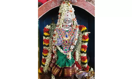 செந்துறை அருகே துரோபதி அம்மன் கோவில் திருவிழா