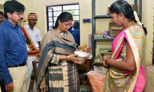 வளர்ச்சி திட்ட பணிகளை கலெக்டர் நேரில் ஆய்வு