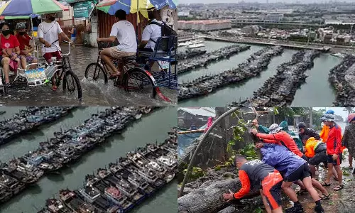 சீனாவை புரட்டி போட்ட டொக்சூரி சூறாவளி- புயல் 7 லட்சம் பேர் பாதிப்பு