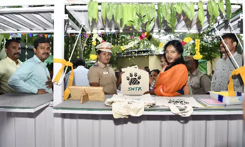 சாரல் திருவிழாவையொட்டி சுருளி அருவியில் கலெக்டர் ஷஜீவனா ஆய்வு