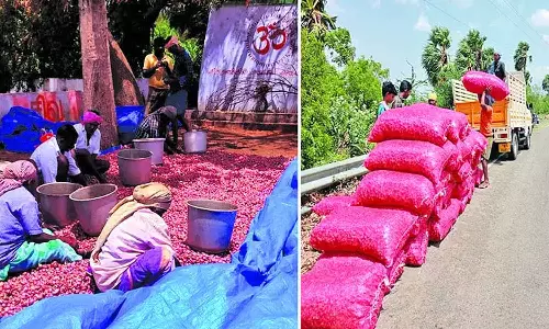 சின்ன வெங்காயம் விலை கிலோ ரூ.70-க்கு விற்பனை- செங்கோட்டை விவசாயிகள் கவலை