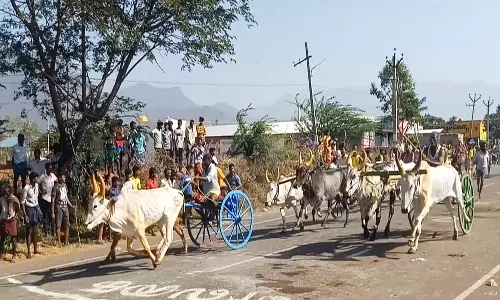போடி அருகே கோவில் திருவிழாவையொட்டி இரட்டை மாட்டு வண்டி பந்தயம்