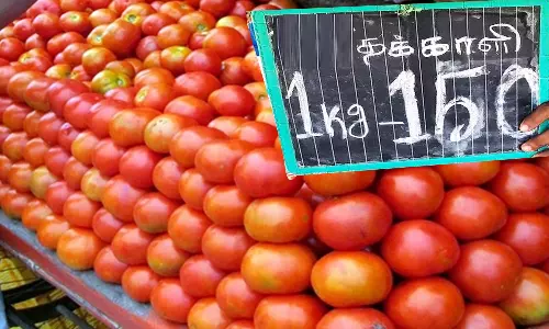 வேலூர் நேதாஜி மார்க்கெட்டில் தக்காளி ஒரு கிலோ ரூ.150-க்கு விற்பனை