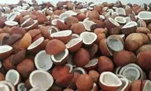 ரூ.1 கோடியே 49 லட்சத்துக்கு கொப்பரை ஏலம்