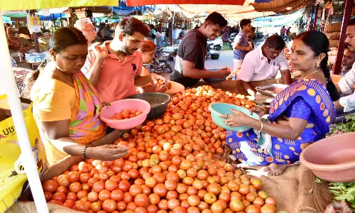 வரத்து குறைவால் தக்காளி விலை மீண்டும் உச்சத்தை தொட்டது