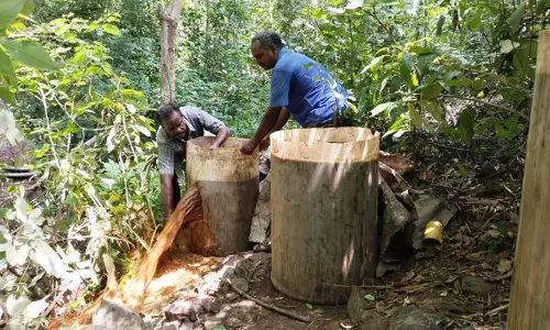 கல்வராயன்மலை பகுதியில் 600லிட்டர் சாராய ஊறல் அழிப்பு