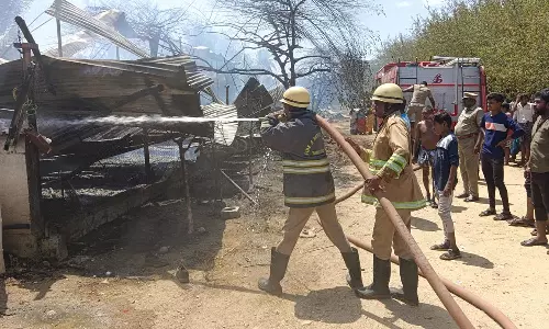 மின்கசிவு காரணமாக கோழி பண்ணையில் பயங்கர தீ விபத்து- 5 ஆயிரம் கோழிக்குஞ்சுகள் இறந்த பரிதாபம்