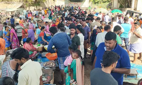 கடலூர் துறைமுகத்தில் மீன்கள் விலை உயர்வு