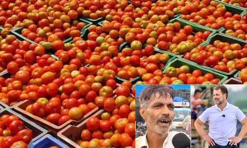 தக்காளி விலை உயர்வால் கண்ணீர் விட்டு அழுத காய்கறி வியாபாரி- ராகுல் காந்தி பகிர்ந்த வீடியோ