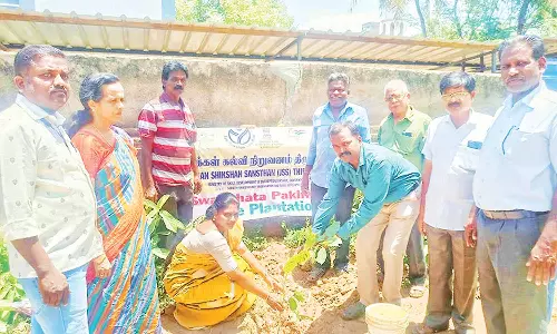 திருத்துறைப்பூண்டியில், மரக்கன்று நடும் விழா