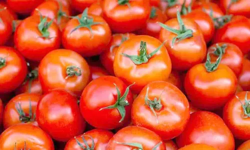 தஞ்சையில், தக்காளி கிலோ ரூ.150-க்கு விற்பனை