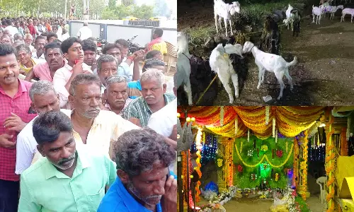 ஆண்கள் மட்டுமே பங்கேற்ற திருவிழா: 12 மூட்டை பச்சரிசி, 177 ஆடுகள் பலியிட்டு மெகா அசைவ விருந்து