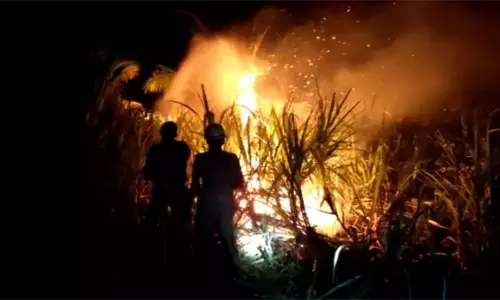 கரும்பு தோட்டத்தில் திடீர் தீ