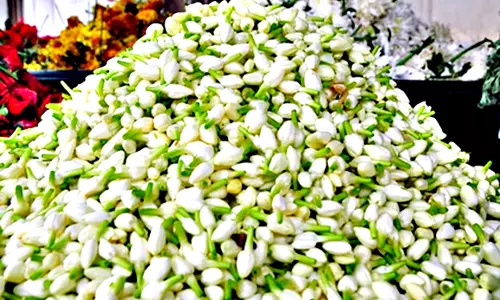 பூ மார்க்கெட்டில் பூக்களின் விலை உயர்வு