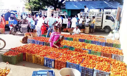 பாலக்கோடு மார்கெட்டில் தக்காளி கிலோ 150-க்கு விற்பனை