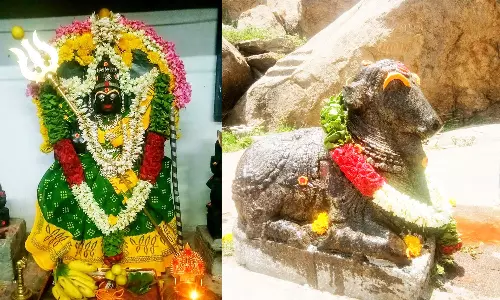 பகவதி அம்மன் கோவிலில் பிரதோஷ வழிபாடு