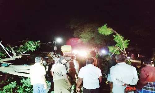 பண்ருட்டி காளி கோவில் அருகே லாரி மோதி சாலையில் விழுந்த மரம்; மின்சாரம் துண்டிப்பு