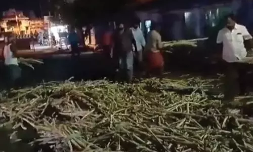 அதிக பாரம் ஏற்றி வந்த லாரியில் இருந்து ரோட்டில் விழுந்த கரும்புகள்- போக்குவரத்து பாதிப்பு