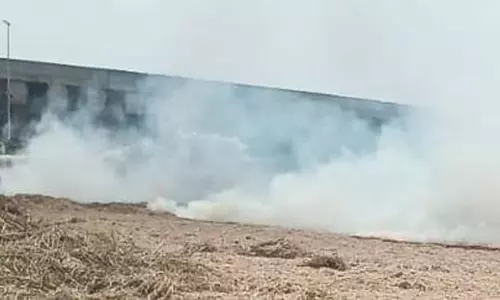 கரும்புத்தோட்டம் அருகே திடீர் தீ