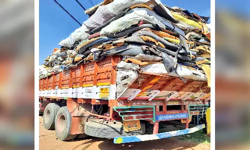 தென்காசி மாவட்டத்திற்குள் கேரளா கழிவுகள் கொட்டப்படுவதை தடுக்க நடவடிக்கை எடுக்கப்படுமா?- சமூக ஆர்வலர்கள் கோரிக்கை