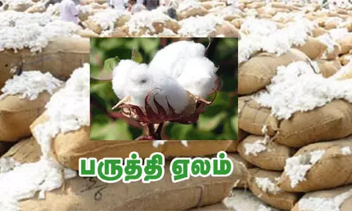 வெண்ணந்தூர் அருகே ரூ.11 லட்சத்துக்கு பருத்தி ஏலம்