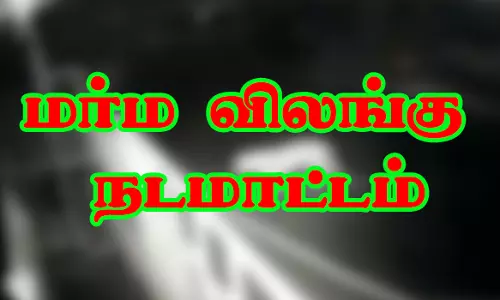 காருவள்ளி பகுதியில் மர்ம விலங்கு நடமாட்டத்தால் மக்கள் அச்சம்