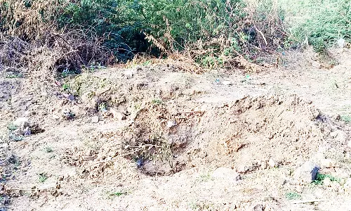 சாலையோரம் நடப்பட்டு தண்ணீரின்றி வாடும் மரக்கன்றுகள்