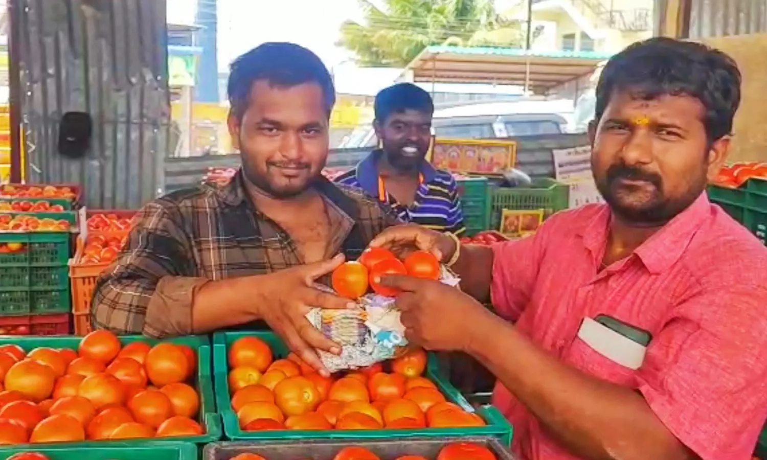 இனியும் பெண் கொடுக்க தயங்குவீர்களா...! ஒரே நாளில் ரூ.4 லட்சத்திற்கு தக்காளி விற்பனை செய்த விவசாயி இனியும் பெண் கொடுக்க தயங்குவீர்களா...! ஒரே நாளில் ரூ.4 லட்சத்திற்கு தக்காளி விற்பனை செய்த விவசாயி