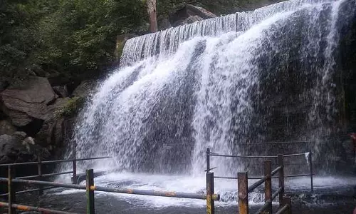 யானைகள் நடமாட்டம் எதிரொலி- சுருளி அருவியில் சுற்றுலா பயணிகள் குளிக்கத் தடை