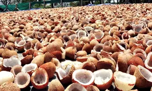 வெள்ளக்கோவிலில் ரூ.53 லட்சத்துக்கு தேங்காய் பருப்பு விற்பனை