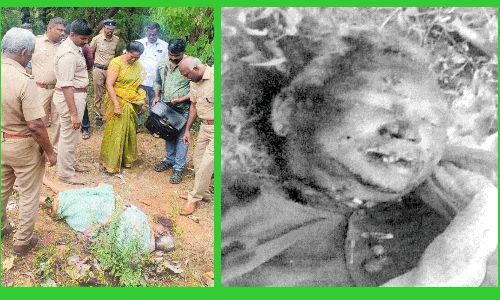 மூதாட்டி அடித்துக்கொலை