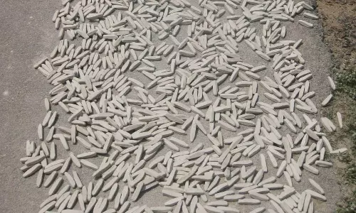 100 டன் தயாரித்தும் வறுமையில் ஜடேரி நாமக்கட்டி தொழிலாளர்கள்- புவிசார் குறியீடு கிடைத்ததால் மகிழ்ச்சி