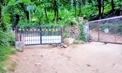 செங்கோட்டையில் நெய் அருவி செல்ல சுற்றுலா பயணிகளுக்கு தடை - மலைப்பாதை அடைக்கப்பட்டது