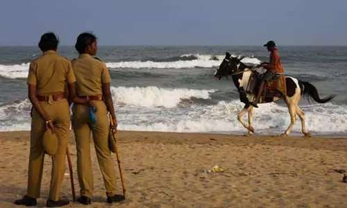 மெரினா கடற்கரை குதிரைகளுக்கு லைசென்ஸ்- தமிழக கால்நடை நலவாரியம் முடிவு