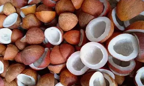 ஆனைமலையில் கொப்பரை மூட்டைகள் வரத்து அதிகம்