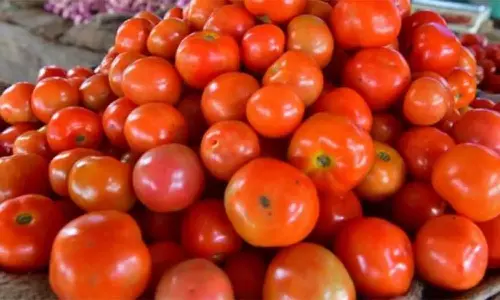 கோவை ரேஷன் கடைகளில் ஒரே நாளில் 500 கிலோ தக்காளி விற்பனை