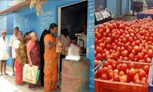 ரேஷன் கடைகளில் ஒரே நாளில் ஒரு டன் தக்காளி விற்பனை