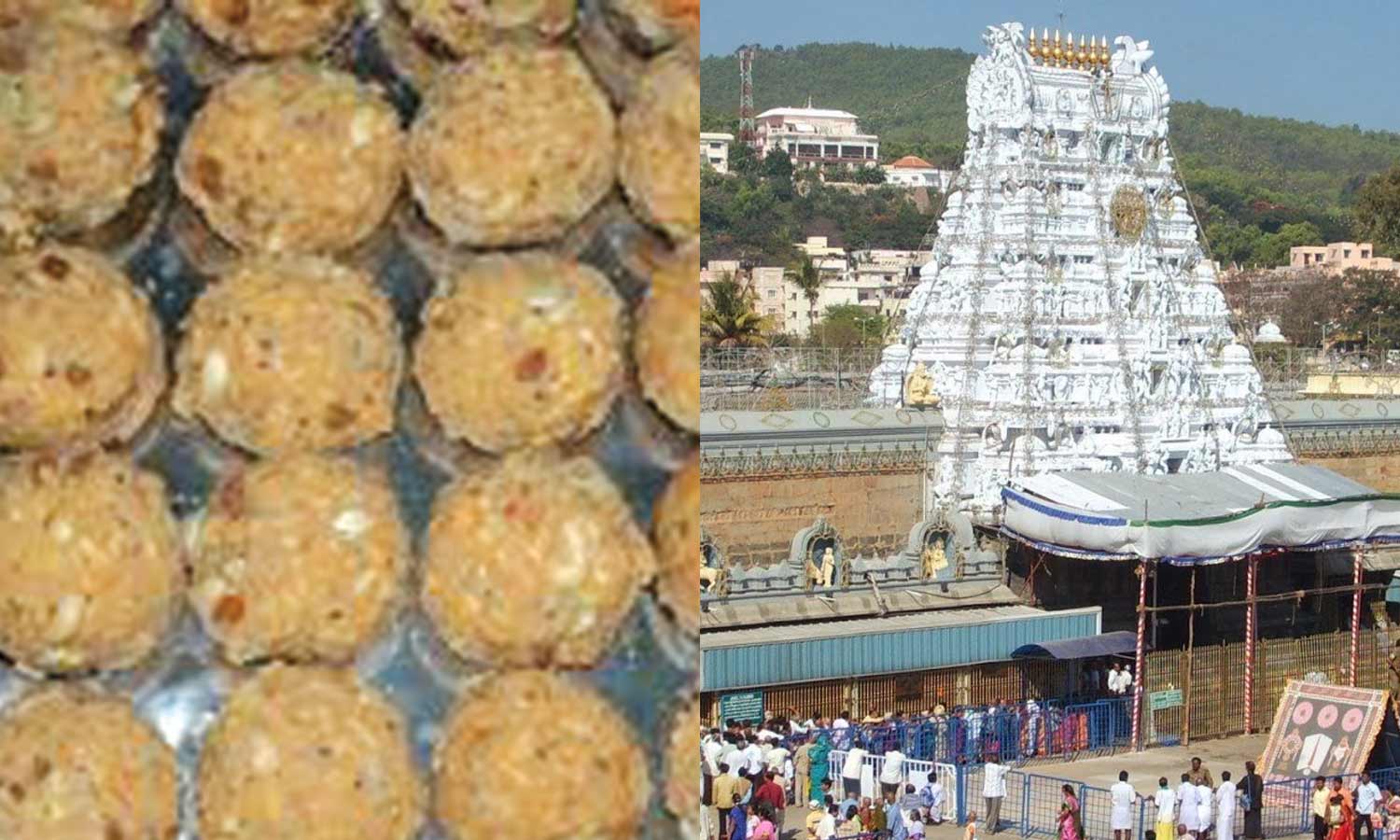 பக்தர்களை கவரும் 3 வகை திருப்பதி லட்டு- எடை குறைந்து வருவதாக பக்தர்கள் புகார்