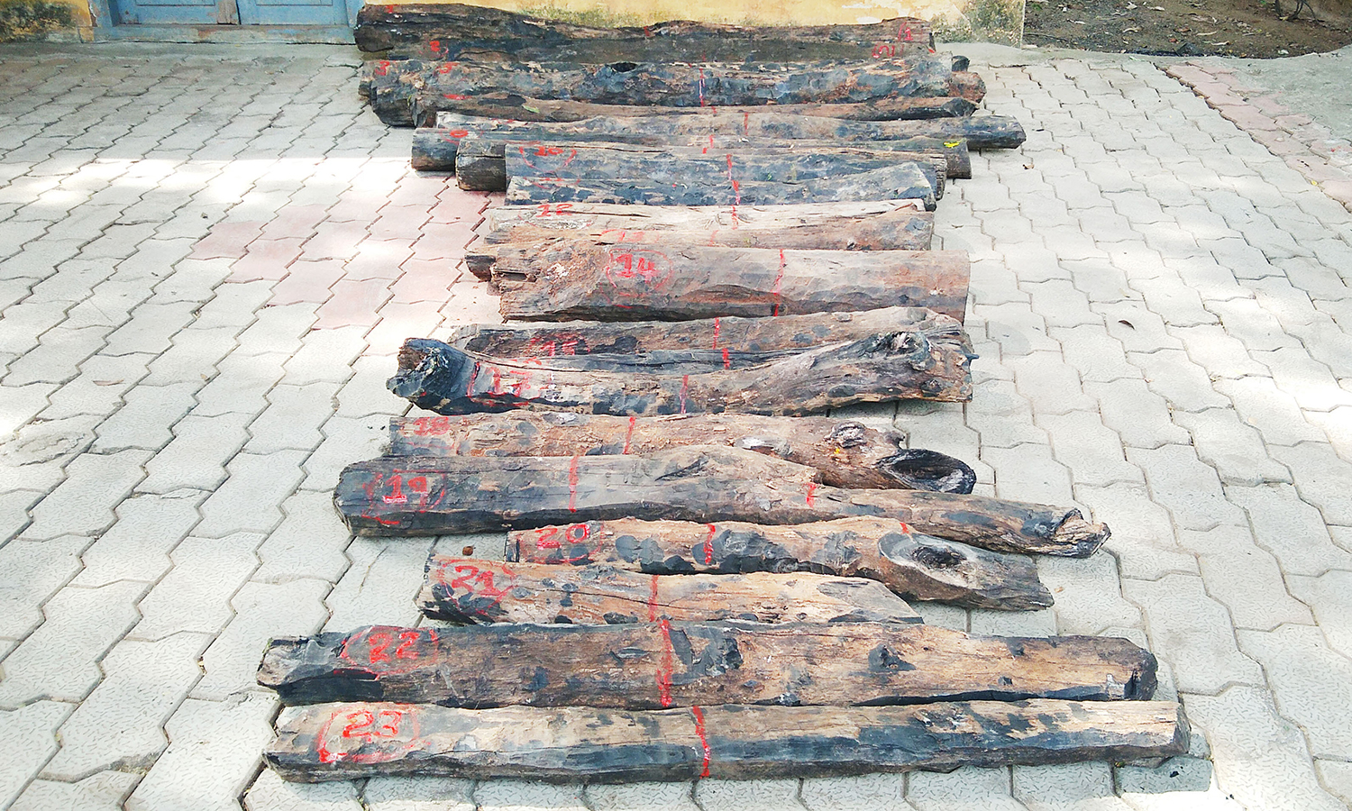 வருசநாடு அருகே கருங்காலி மரக்கட்டைகளை கடத்திய 2 பேர் கைது