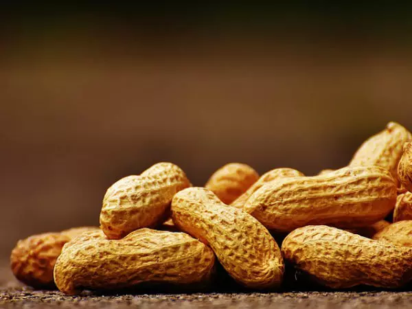 நிலக்கடலை ரூ.2.16 லட்சத்துக்கு ஏலம் நிலக்கடலை ரூ.2.16 லட்சத்துக்கு ஏலம்