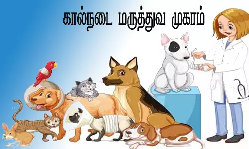 கால்நடை மருத்துவ முகாம்களை பொதுமக்கள் பயன்படுத்தி கொள்ள வேண்டும்-கலெக்டர்
